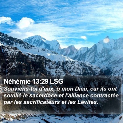 Néhémie 13:29 LSG Bible Verse Image