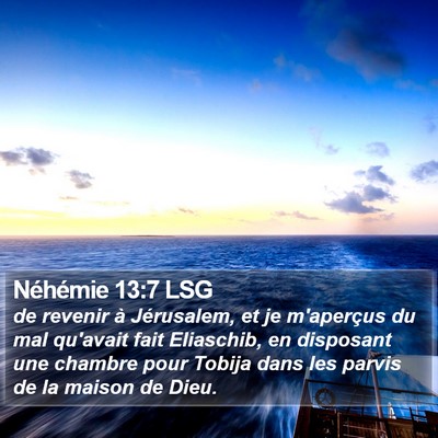 Néhémie 13:7 LSG Bible Verse Image