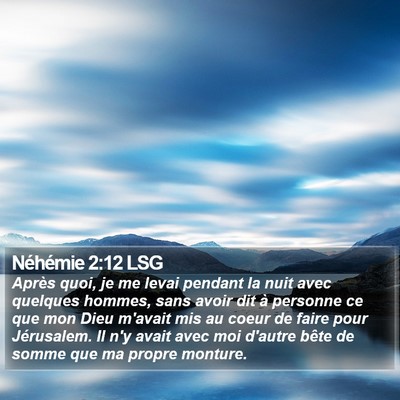 Néhémie 2:12 LSG Bible Verse Image
