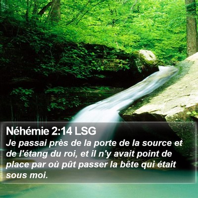 Néhémie 2:14 LSG Bible Verse Image