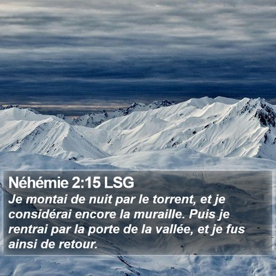 Néhémie 2:15 LSG Bible Verse Image