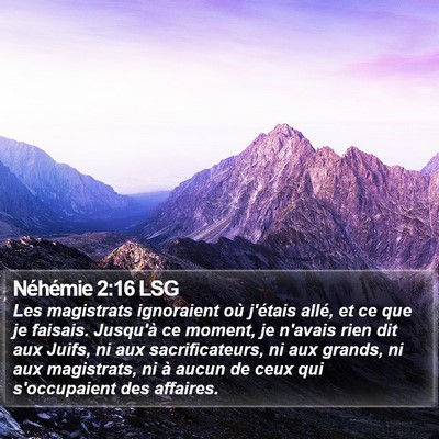 Néhémie 2:16 LSG Bible Verse Image