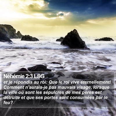 Néhémie 2:3 LSG Bible Verse Image