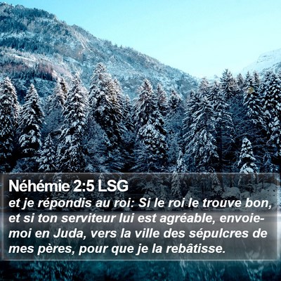 Néhémie 2:5 LSG Bible Verse Image
