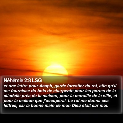 Néhémie 2:8 LSG Bible Verse Image