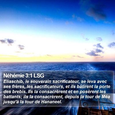 Néhémie 3:1 LSG Bible Verse Image