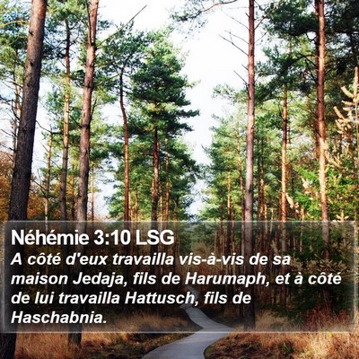 Néhémie 3:10 LSG Bible Verse Image