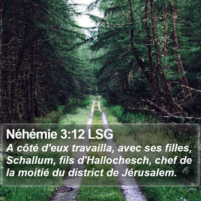 Néhémie 3:12 LSG Bible Verse Image