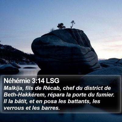 Néhémie 3:14 LSG Bible Verse Image