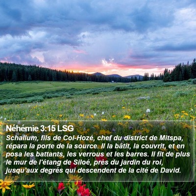 Néhémie 3:15 LSG Bible Verse Image