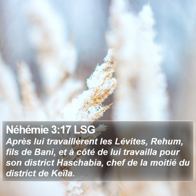 Néhémie 3:17 LSG Bible Verse Image
