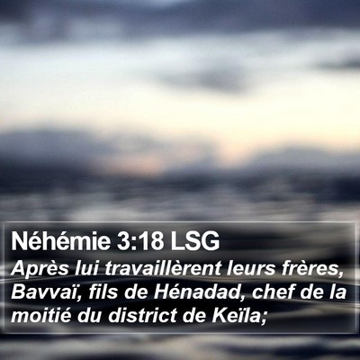 Néhémie 3:18 LSG Bible Verse Image