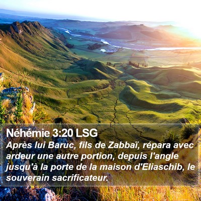 Néhémie 3:20 LSG Bible Verse Image