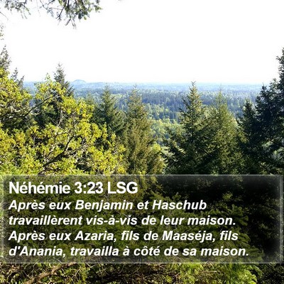 Néhémie 3:23 LSG Bible Verse Image