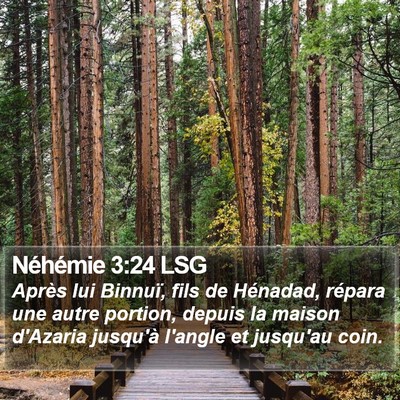 Néhémie 3:24 LSG Bible Verse Image
