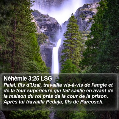 Néhémie 3:25 LSG Bible Verse Image
