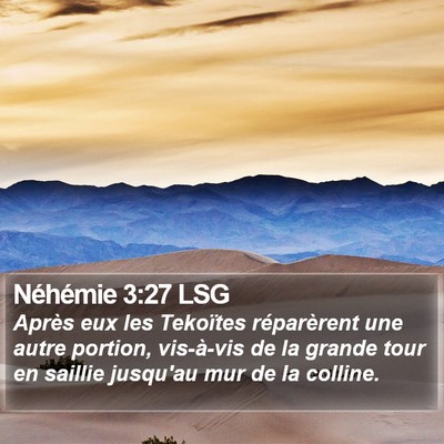 Néhémie 3:27 LSG Bible Verse Image