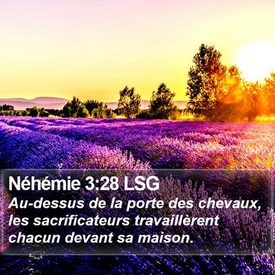 Néhémie 3:28 LSG Bible Verse Image