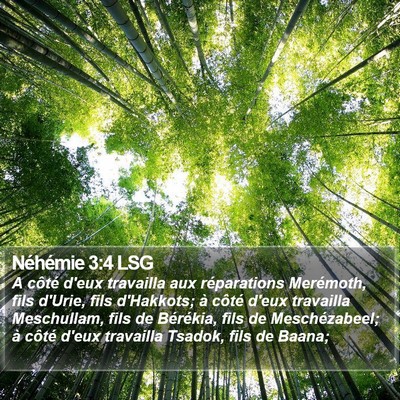 Néhémie 3:4 LSG Bible Verse Image