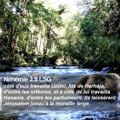 Néhémie 3:8 LSG Bible Verse Image