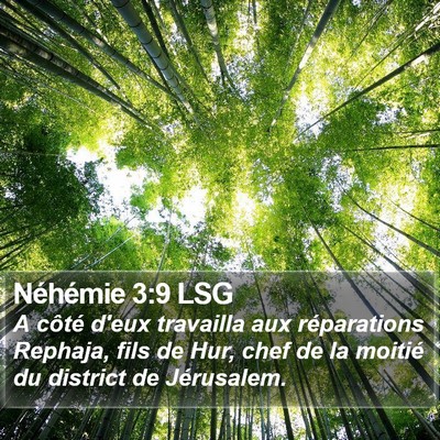 Néhémie 3:9 LSG Bible Verse Image