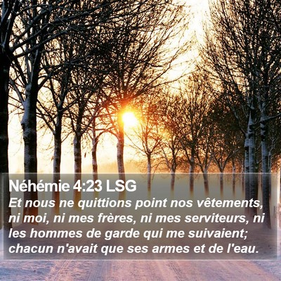 Néhémie 4:23 LSG Bible Verse Image