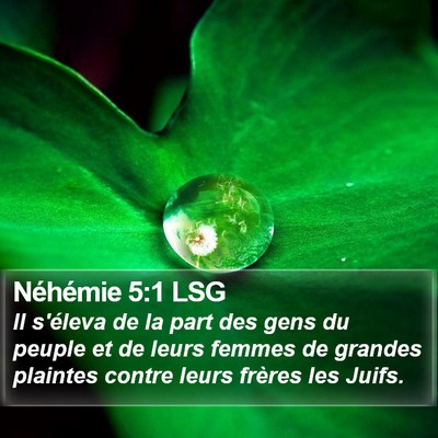 Néhémie 5:1 LSG Bible Verse Image