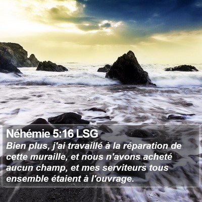 Néhémie 5:16 LSG Bible Verse Image