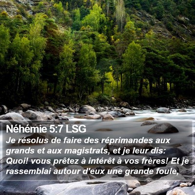 Néhémie 5:7 LSG Bible Verse Image