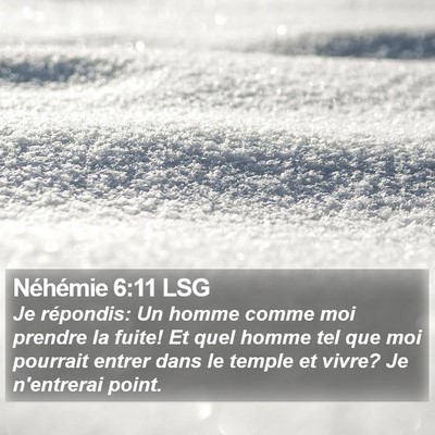 Néhémie 6:11 LSG Bible Verse Image