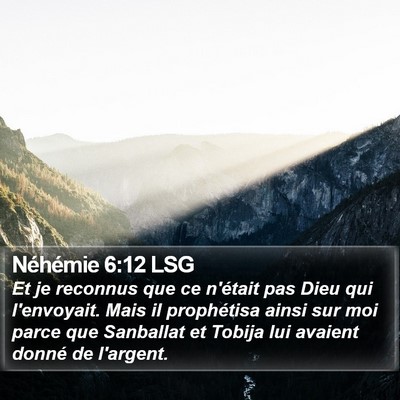 Néhémie 6:12 LSG Bible Verse Image