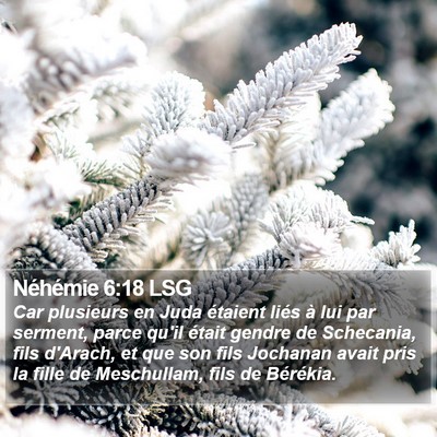 Néhémie 6:18 LSG Bible Verse Image
