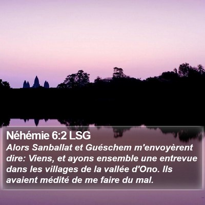 Néhémie 6:2 LSG Bible Verse Image