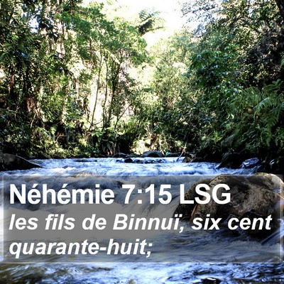Néhémie 7:15 LSG Bible Verse Image