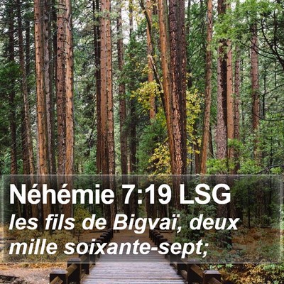 Néhémie 7:19 LSG Bible Verse Image