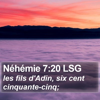 Néhémie 7:20 LSG Bible Verse Image