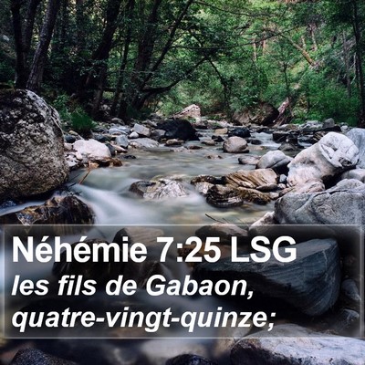 Néhémie 7:25 LSG Bible Verse Image
