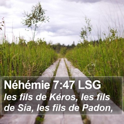 Néhémie 7:47 LSG Bible Verse Image