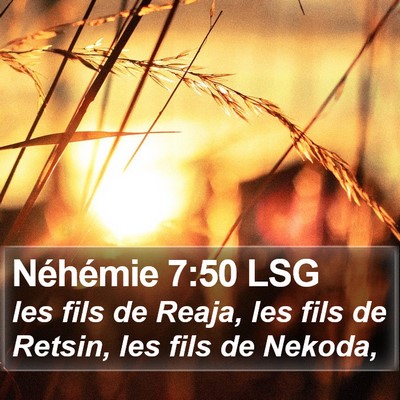 Néhémie 7:50 LSG Bible Verse Image