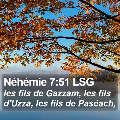 Néhémie 7:51 LSG Bible Verse Image