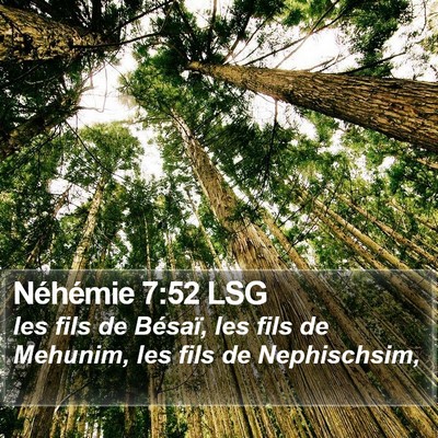 Néhémie 7:52 LSG Bible Verse Image