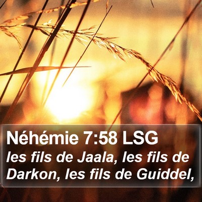 Néhémie 7:58 LSG Bible Verse Image