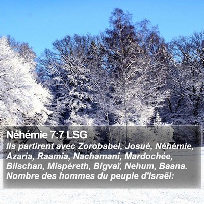 Néhémie 7:7 LSG Bible Verse Image