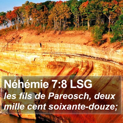 Néhémie 7:8 LSG Bible Verse Image