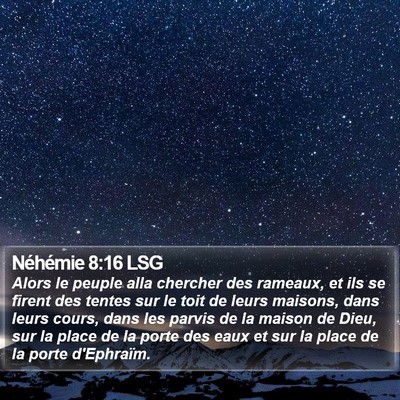 Néhémie 8:16 LSG Bible Verse Image