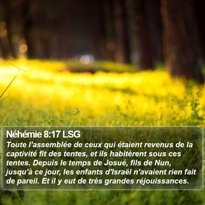Néhémie 8:17 LSG Bible Verse Image