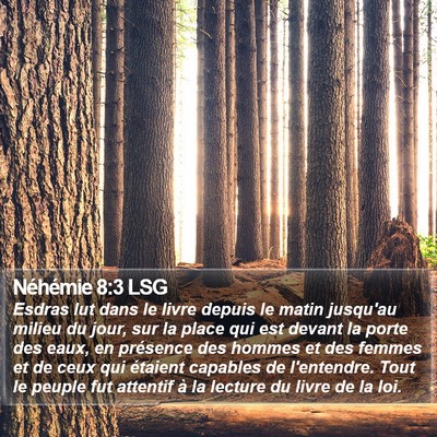 Néhémie 8:3 LSG Bible Verse Image
