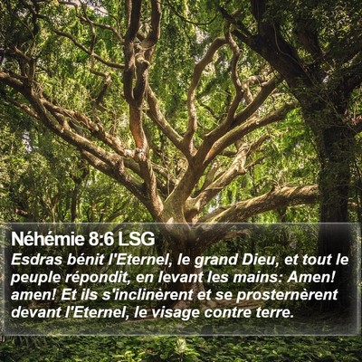 Néhémie 8:6 LSG Bible Verse Image