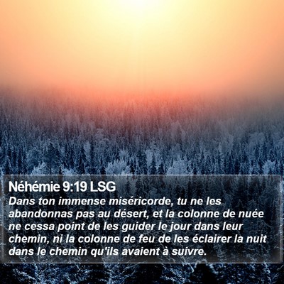 Néhémie 9:19 LSG Bible Verse Image