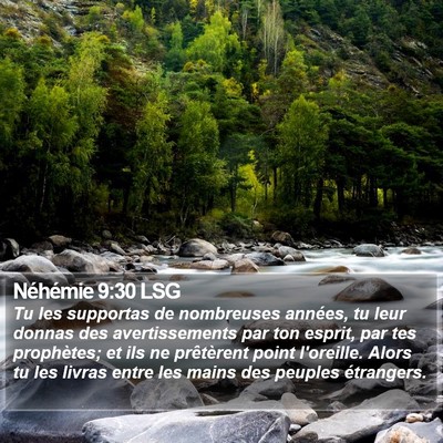 Néhémie 9:30 LSG Bible Verse Image